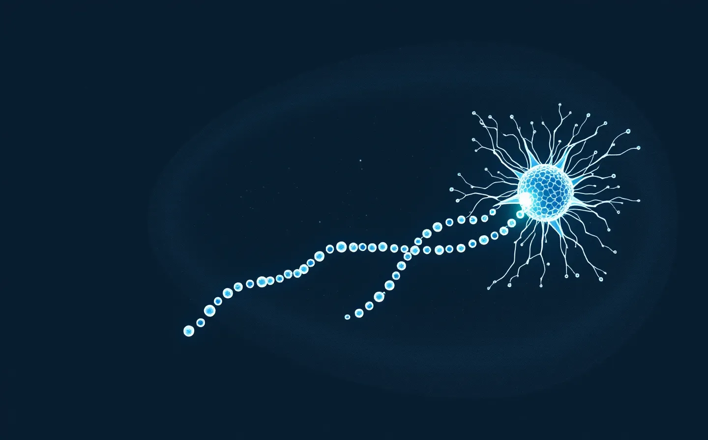 Editorial plate of an abstract mitochondrion with a sixteen-bead peptide chain emerging from it, in white and ice-blue with a single chartreuse active-site bead, on a deep slate-ink ground